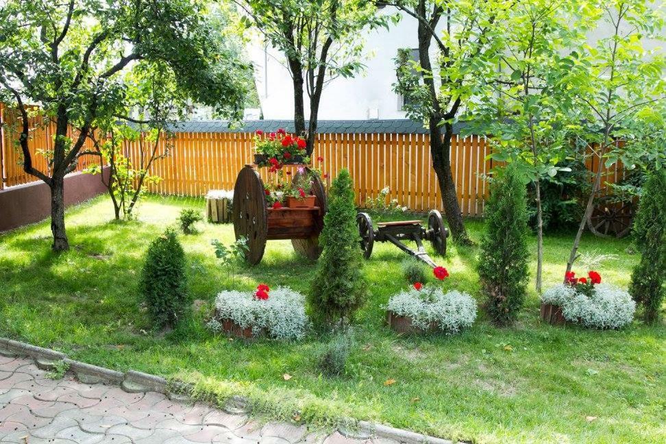Pensiunea Aurica Tirgu Lapus Екстер'єр фото